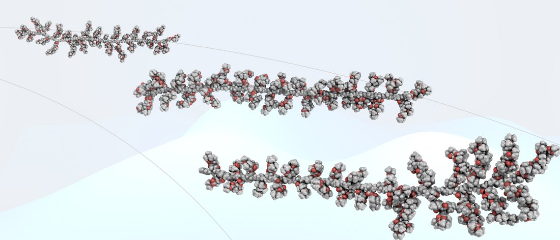 Molecular models of bottlebrush polymers.