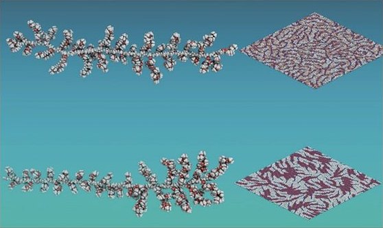 Rendered bottlebrush polymers assembling at an interface.