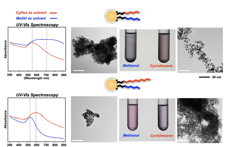 Spectra and electron micrographs of polymer-coated nanoparticles in two solvents.